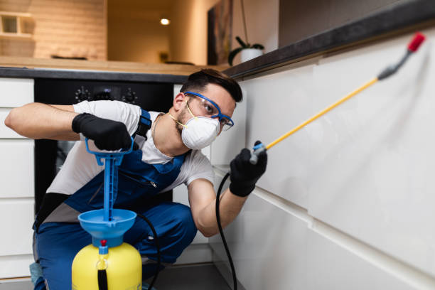 Best Commercial Pest Control Services  in Milford City, CT