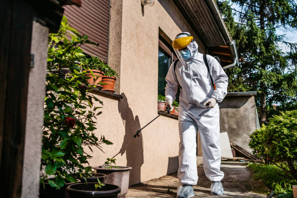 Best Mosquito Control Services  in Milford City, CT