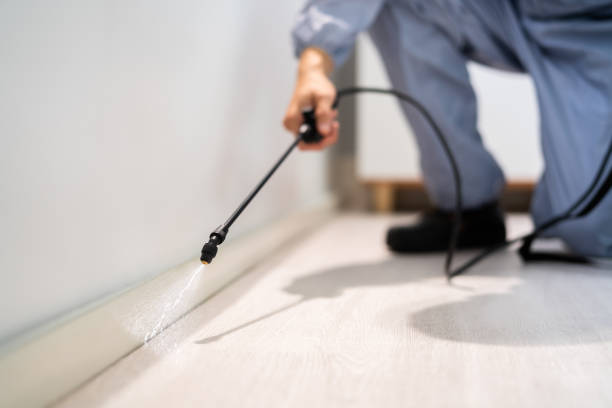 Best Wasp Removal Services  in Milford City, CT