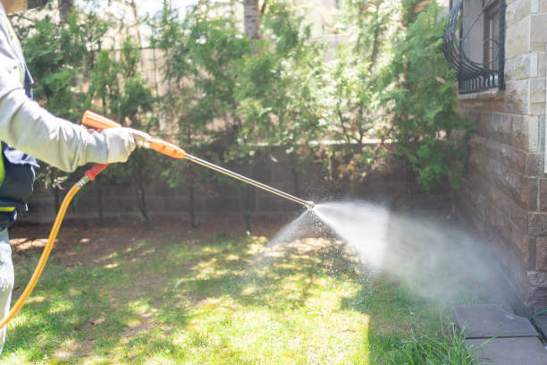 Best Flea Control Services  in Milford City, CT