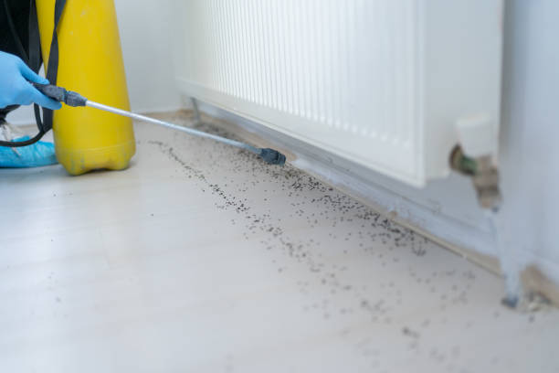 Milford City, CT Pest Control Company